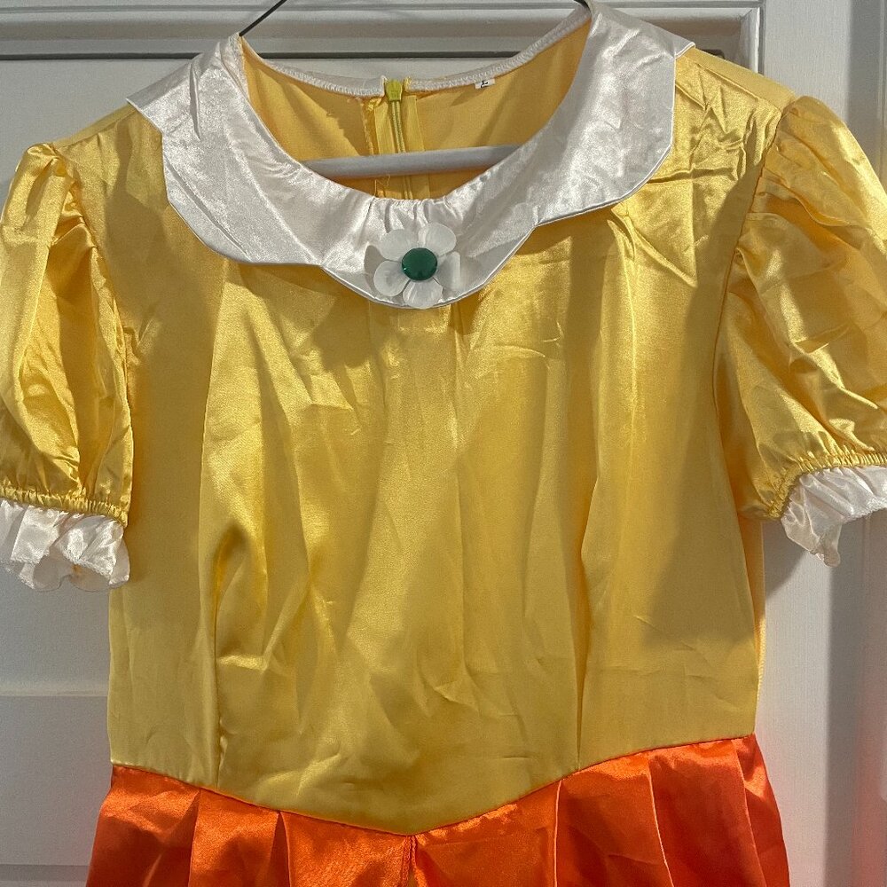 Princess Daisy Adult L Dress and Accessories